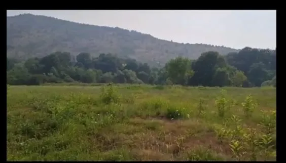 Sale, land lot, 12720m², Velje Brdo, Podgorica
