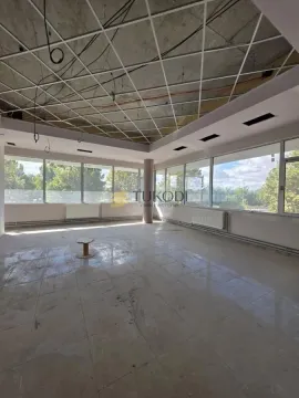 Rent, office space, 4597m², Šangaj, Novi Sad Sve Podlokacije - image 16
