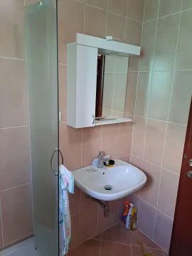 Manje kupatilo sa umivaonikom, ogledalom i tuš kabinom. - image 13