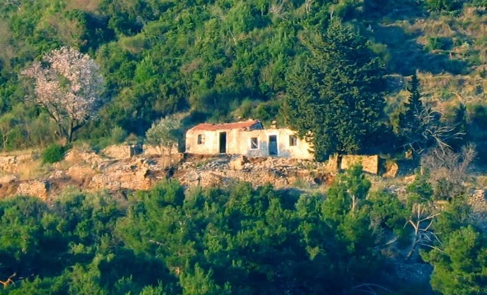 Prodaja, plac, 9500m², Komoševina, Budva
