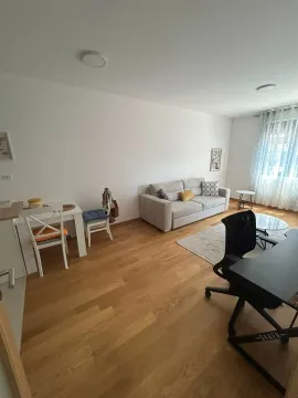Rent, one bedroom apartment, 47m², City Kvart, Podgorica - image 6