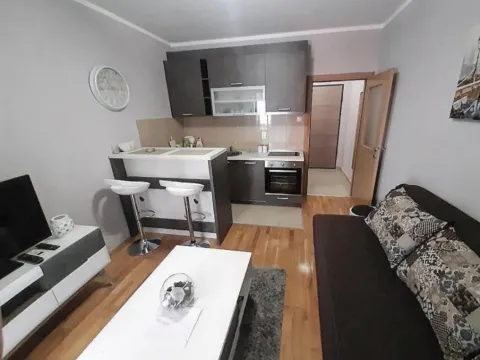 Izdavanje, garsonjera, 30m², Ljubović, Podgorica - image 4