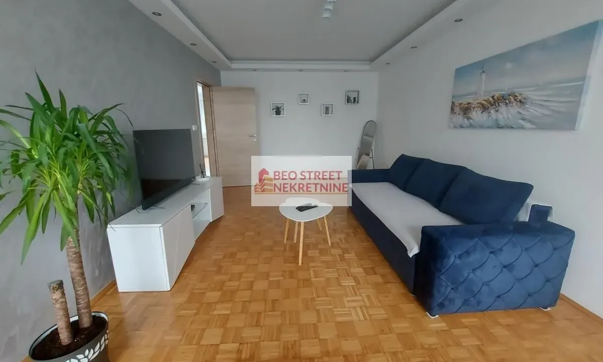 Rent, two bedroom apartment, 70m², Novi Beograd Blok 45, Novi Beograd Sve Podlokacije
