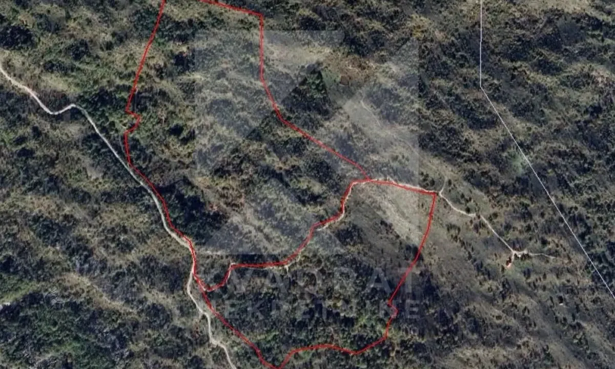 Prodaja, plac, 266598m², Velestovo, Cetinje