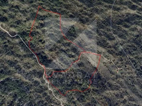 Sale, land lot, 266598m², Velestovo, Cetinje - image 1