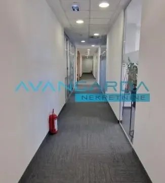 Izdavanje, poslovni prostor, 1310m², Novi Beograd Sve Podlokacije, Beograd - image 4