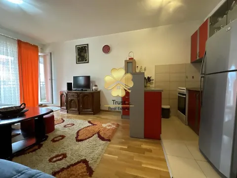 Izdavanje, garsonjera, 33m², Tuški Put, Podgorica - image 2