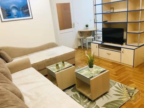 Izdavanje, dvosoban stan, 43m², Novi Beograd Sve Podlokacije, Beograd - image 3