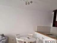 Rent, two bedroom apartment, 48m², Podbara, Novi Sad Sve Podlokacije - image 6