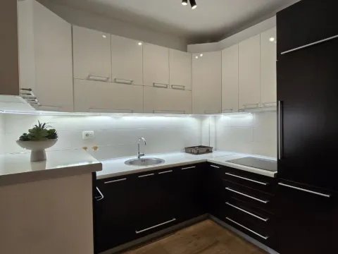 Rent, one bedroom apartment, 46m², Nova Dalmatinska, Podgorica - image 4