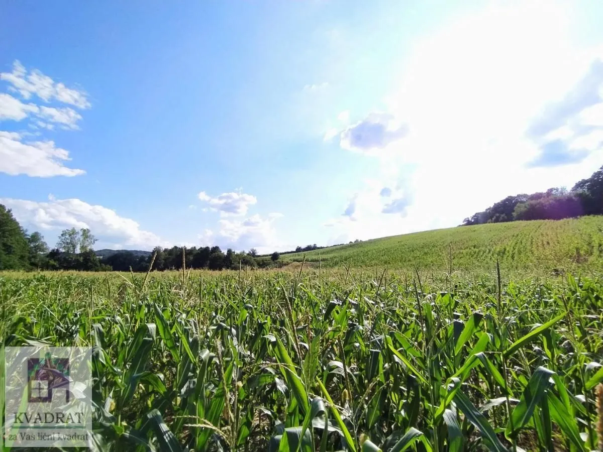 Prodaja, plac, 45000m², Kršna glava, Ub