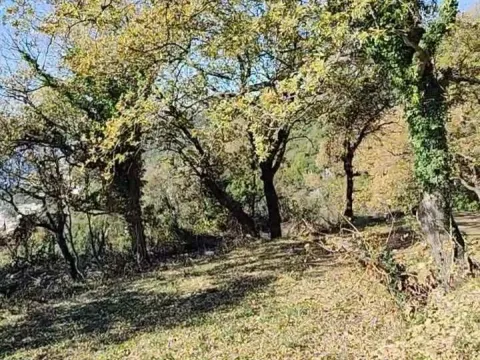 Prodaja, plac, 1227m², Dobre Vode, Bar - image 8