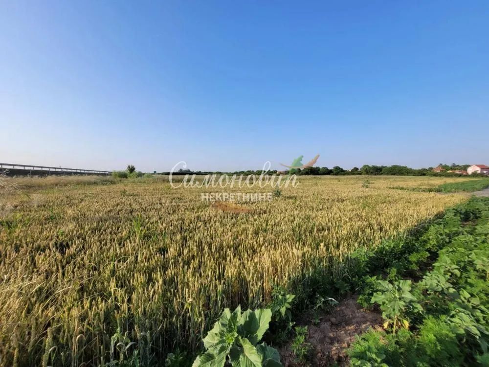 Sale, land lot, 1800m², Jakovo, Surčin