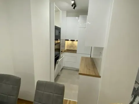 Izdavanje, dvosoban stan, 52m², Palilula Sve Podlokacije, Beograd - image 4