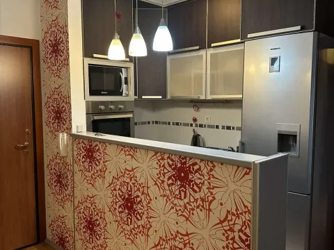 Izdavanje, dvosoban stan, 65m², Centar, Podgorica - image 5