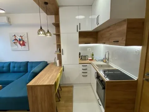 Rent, one bedroom apartment, 30m², Socijalno, Novi Sad Sve Podlokacije - image 3