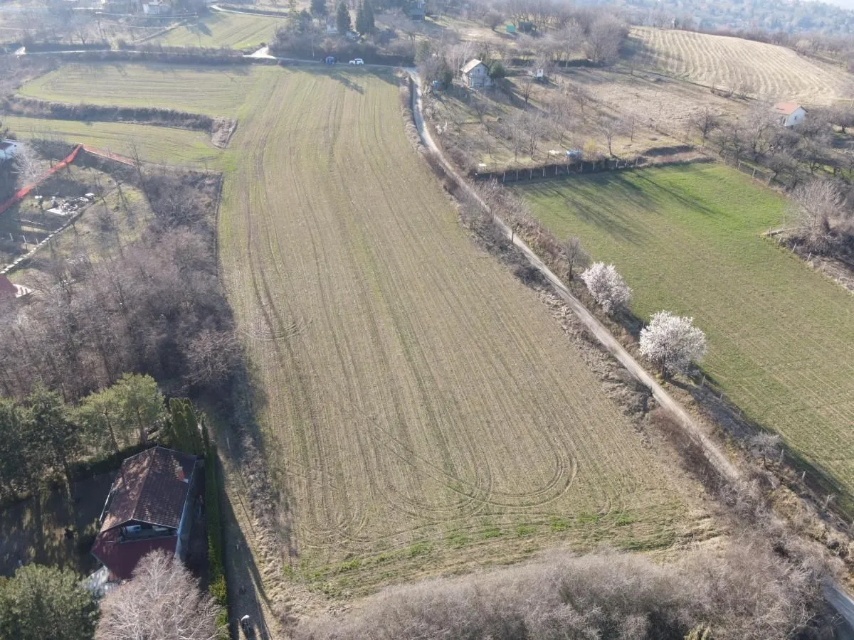 Prodaja, plac, 12268m², Ledinci, Petrovaradin