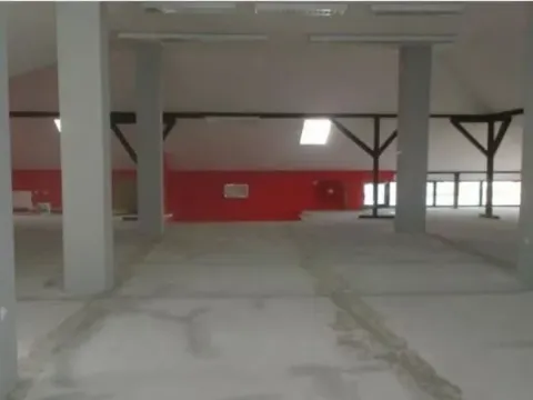 Izdavanje, poslovni prostor, 260m², Vidikovački venac, Rakovica - image 4