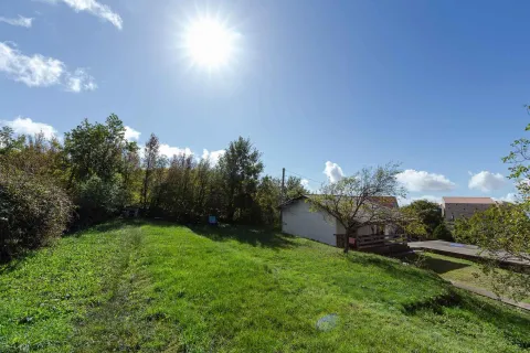 Pogled na zeleno dvorište i kuću sa drvećem i sunčanim nebom. - image 16