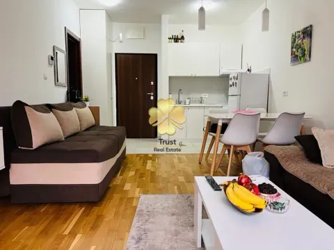 Izdavanje, garsonjera, 30m², Ljubović, Podgorica - image 4