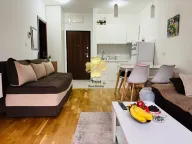 Izdavanje, garsonjera, 30m², Ljubović, Podgorica - image 4