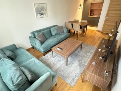 Izdavanje, jednosoban stan, 46m², New City, Podgorica - image 2