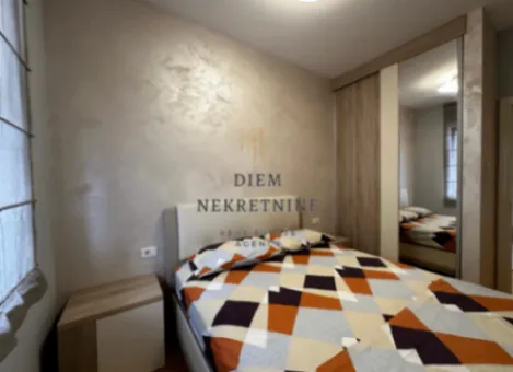 Izdavanje, jednosoban stan, 50m², Ljubović, Podgorica - image 4