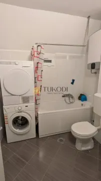 Rent, one bedroom apartment, 45m², Zemun Centar, Zemun Sve Podlokacije - image 11