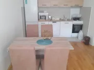 Izdavanje, jednosoban stan, 44m², Ljubović, Podgorica - image 9