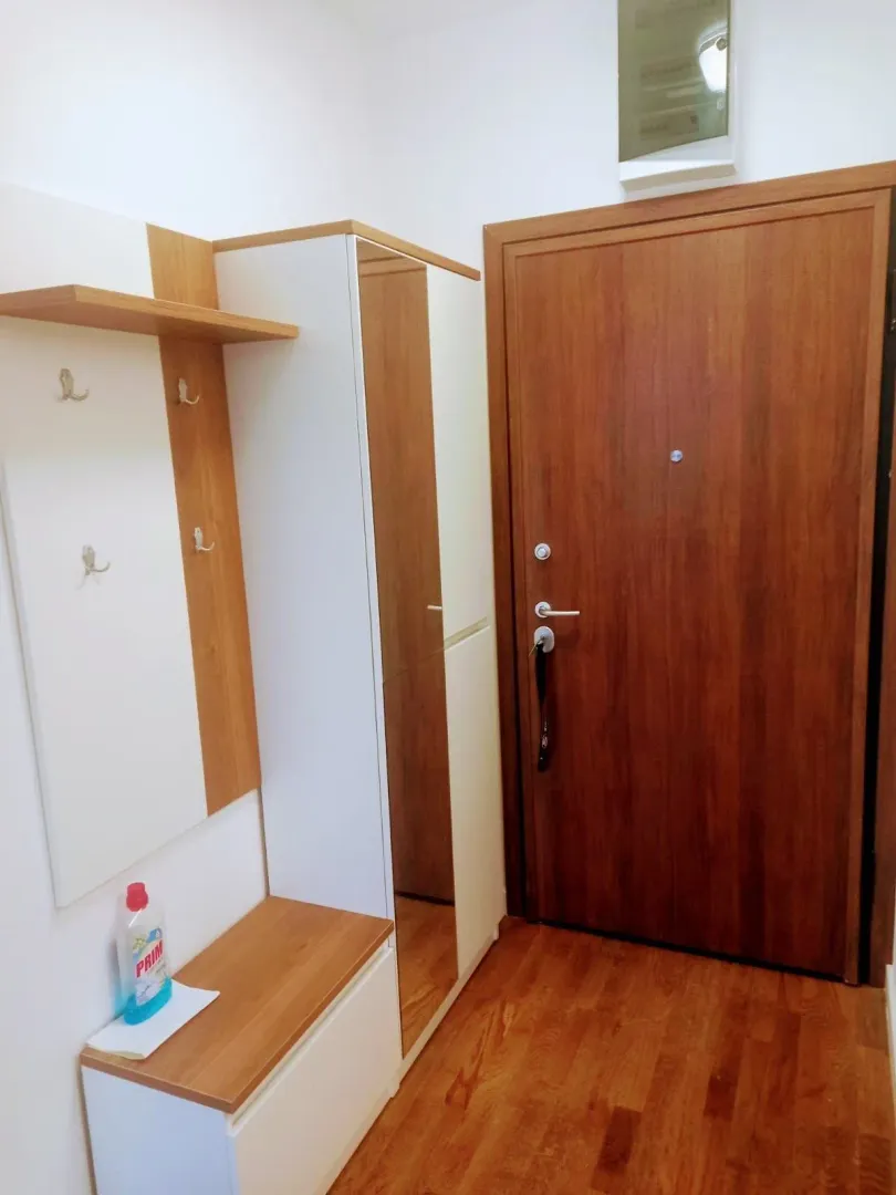 Izdavanje, jednosoban stan, 47m², Stari Aerodrom, Podgorica