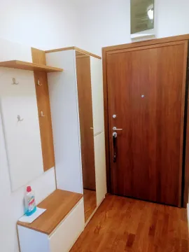 Izdavanje, jednosoban stan, 47m², Stari Aerodrom, Podgorica - image 12