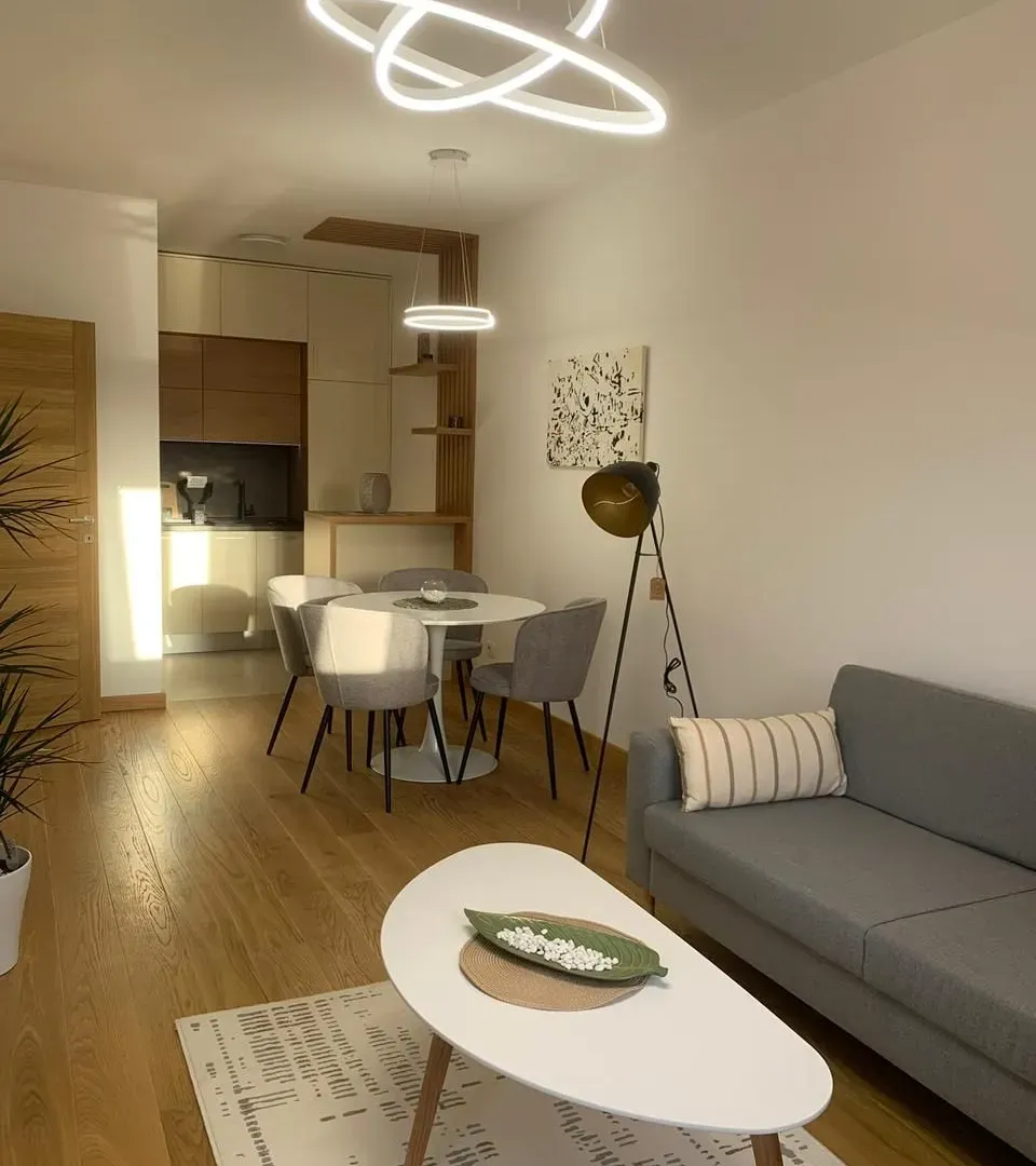 Rent, one bedroom apartment, 47m², City Kvart, Podgorica