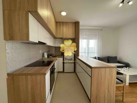 Izdavanje, jednosoban stan, 45m², Stari Aerodrom, Podgorica - image 4