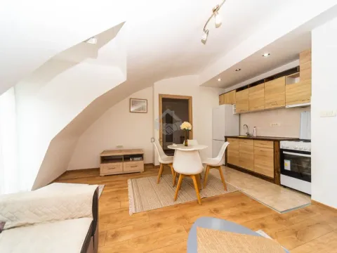 Izdavanje, jednosoban stan, 46m², Zabjelo, Podgorica - image 3