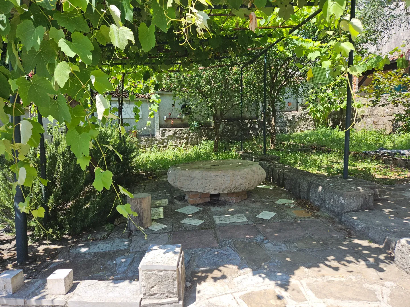 Yard with a stone table in the shade of a grapevine.
