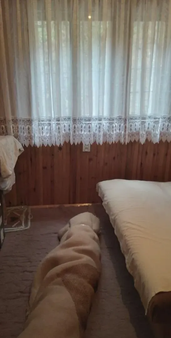 Sale, house, 150m², Priboj, Srbija