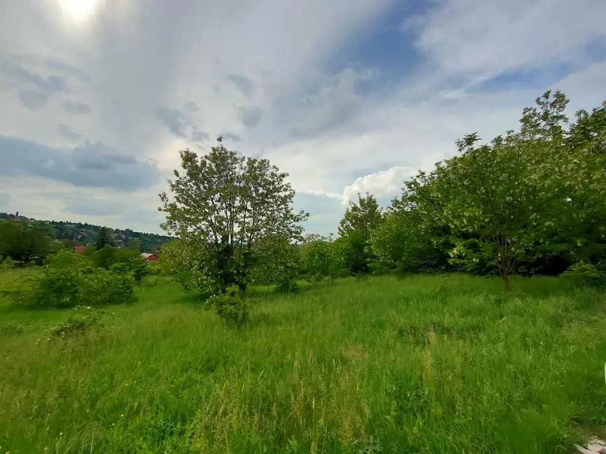 Prodaja, plac, 5000m², Ledinci, Petrovaradin