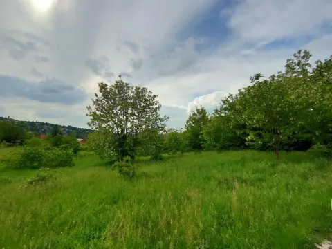 Sale, land lot, 5000m², Ledinci, Petrovaradin - image 2