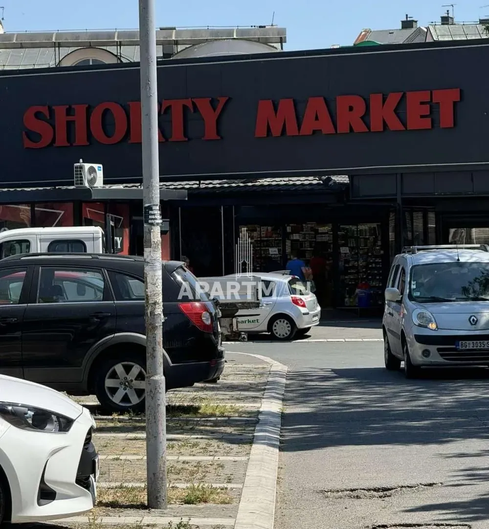 Izdavanje, stan, 24m², Palilula Sve Podlokacije, Beograd