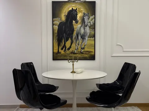 Rent, one bedroom apartment, 47m², New City, Podgorica - image 9