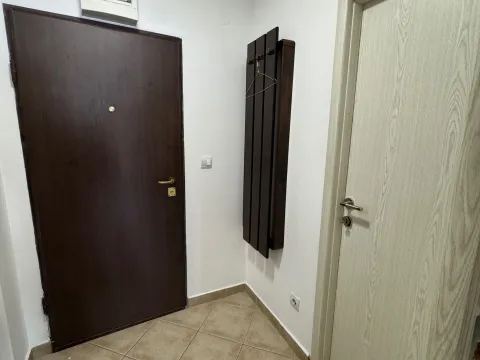Izdavanje, jednosoban stan, 42m², Preko Morače, Podgorica - image 9