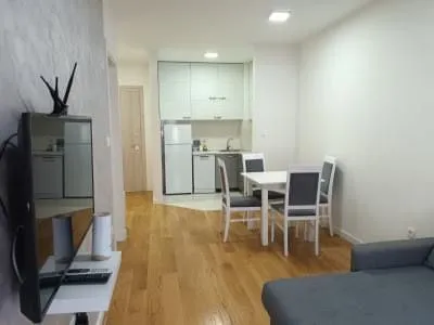 Izdavanje, jednosoban stan, 45m², Central Point, Podgorica