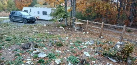 Prodaja, plac, 450m², Zaugline, Bajina Bašta - image 2