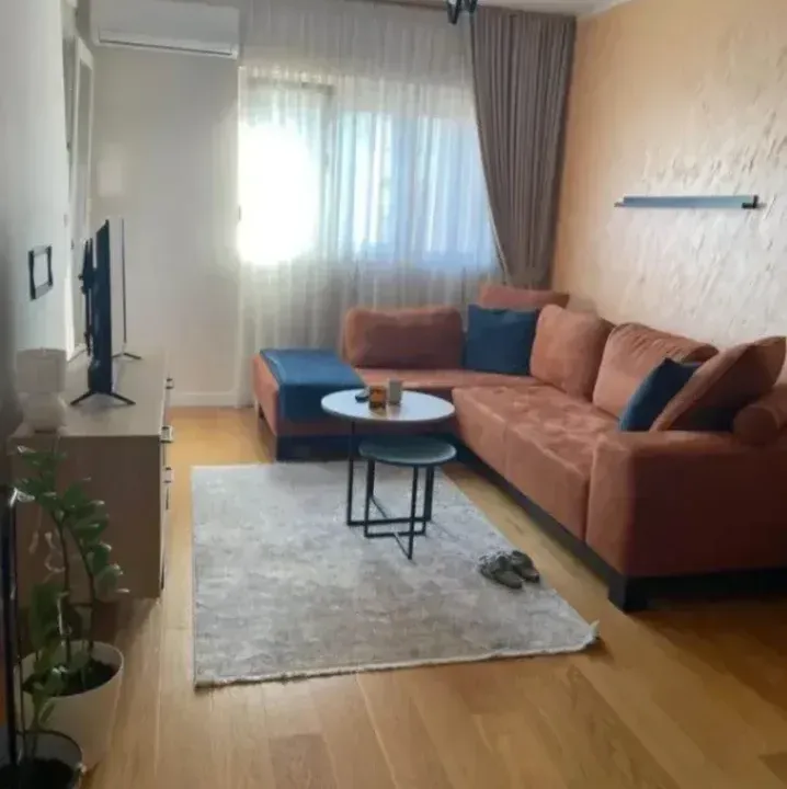 Izdavanje, jednosoban stan, 50m², Central Point, Podgorica