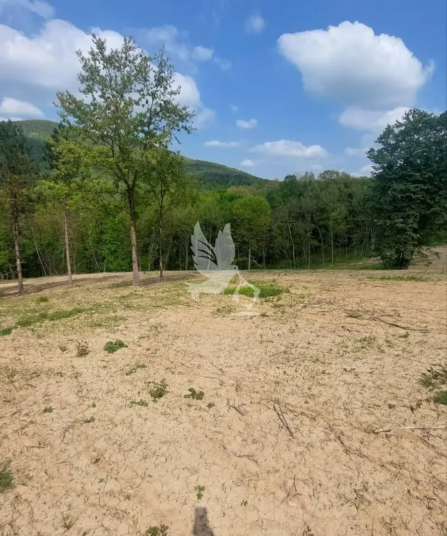 Prodaja, plac, 14000m², Kosmaj, Sopot