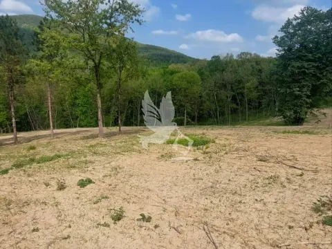 Prodaja, plac, 14000m², Kosmaj, Sopot - image 8