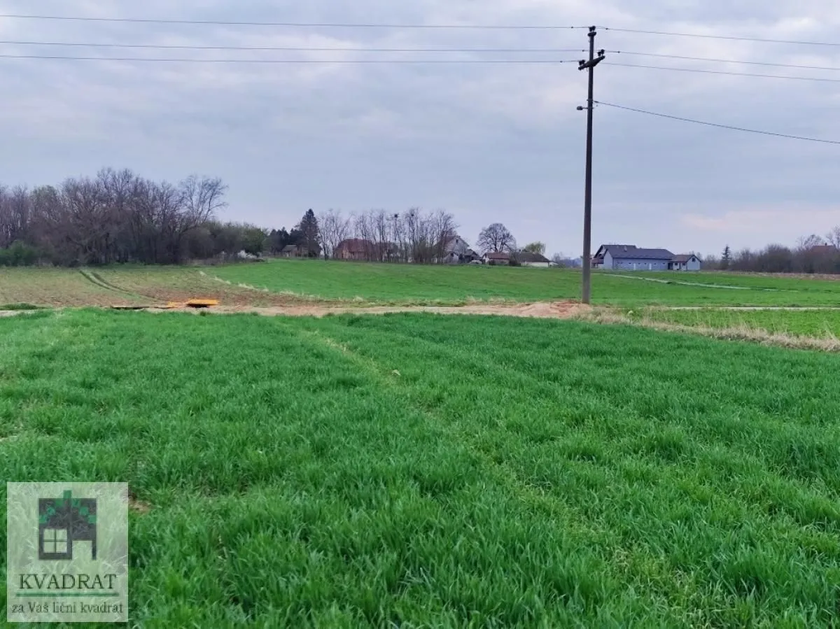 Prodaja, plac, 4000m², Zvečka, Obrenovac