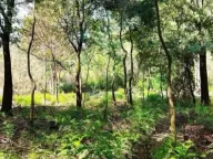 Prodaja, plac, 1860m², Zeta, Podgorica - image 4