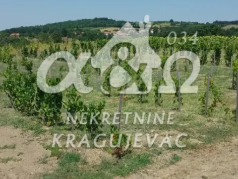 Prodaja, kuća, 107m², Gornje Jarušice, Kragujevac - image 9