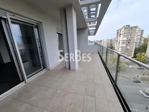 Izdavanje, poslovni prostor, 314m², Liman 3, Novi Sad Sve Podlokacije - image 8